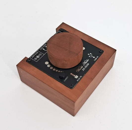 Bluetooth-Digitalverstärkermodul mit Holzrahmen